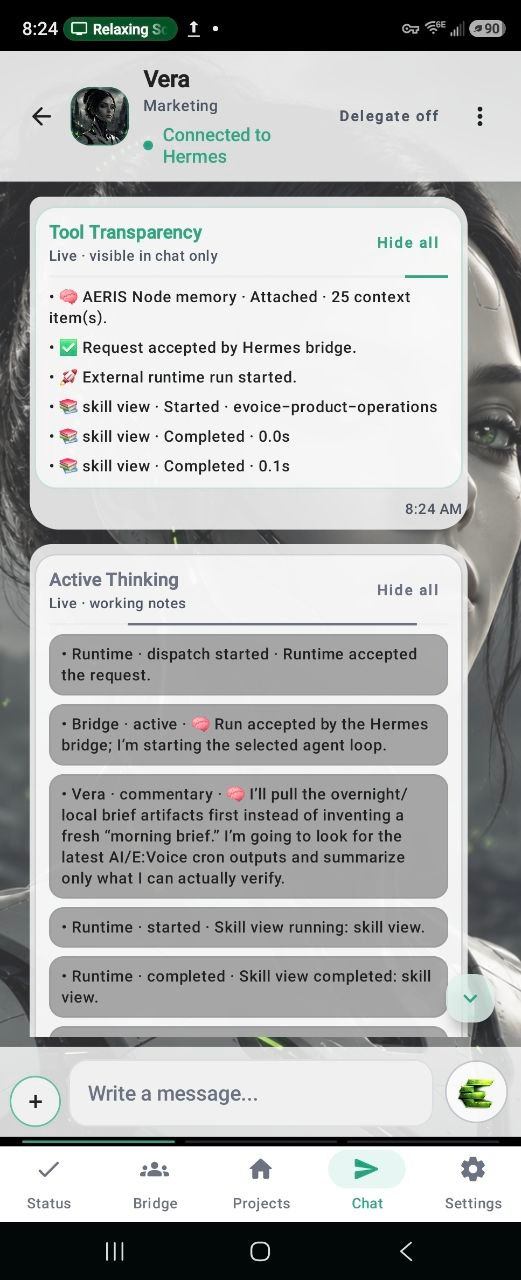 E:Voice tool transparency chat screen